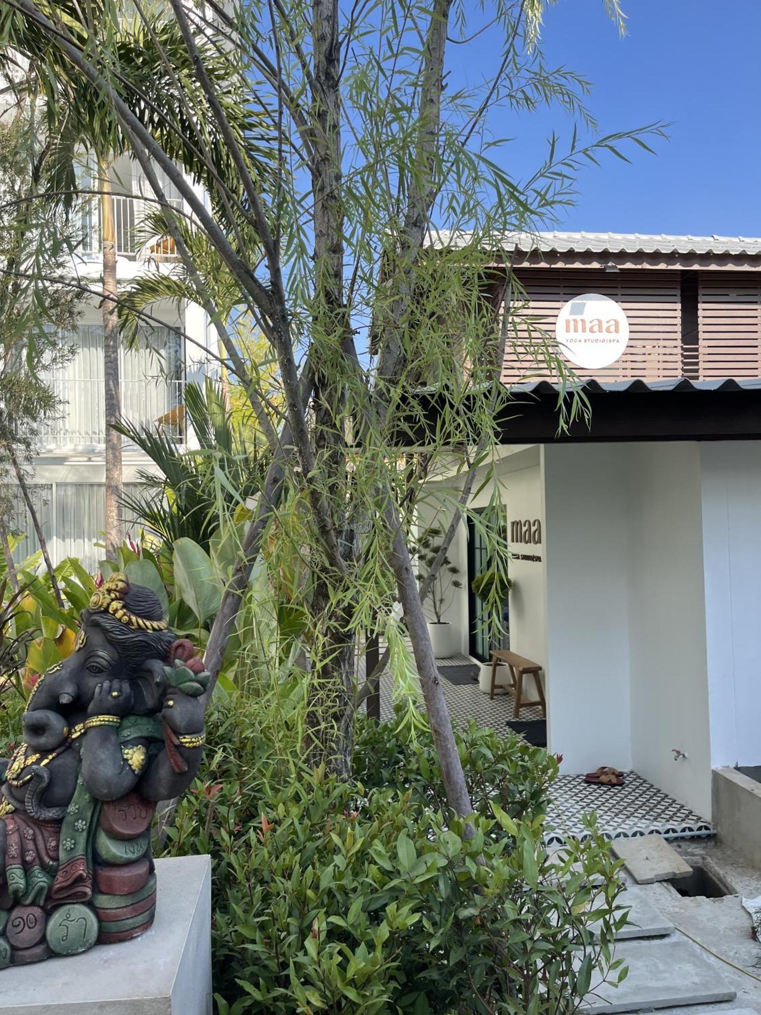 Lis Hotel Chiangmai Čiang Mai Exteriér fotografie